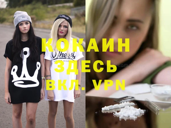 прущие грибы Саяногорск